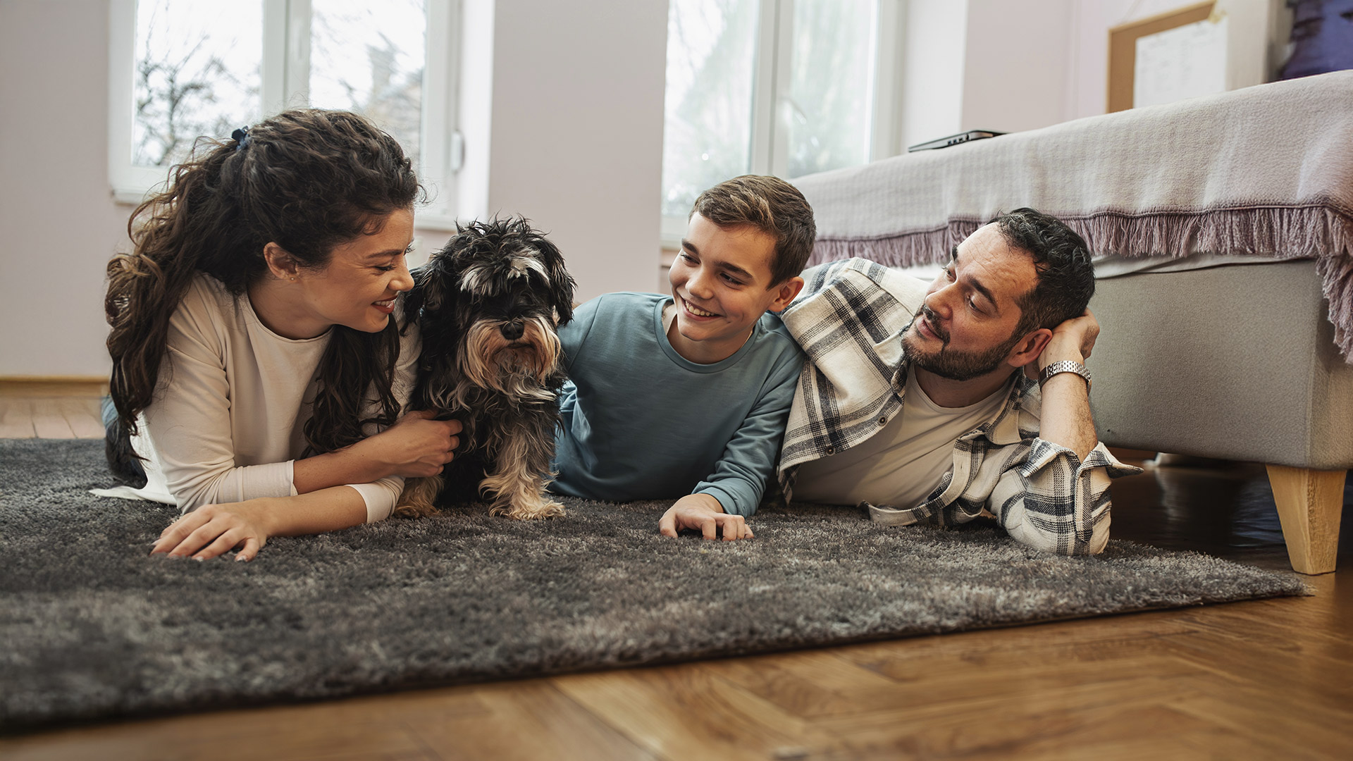 Limpieza de Alfombras y Tapetes