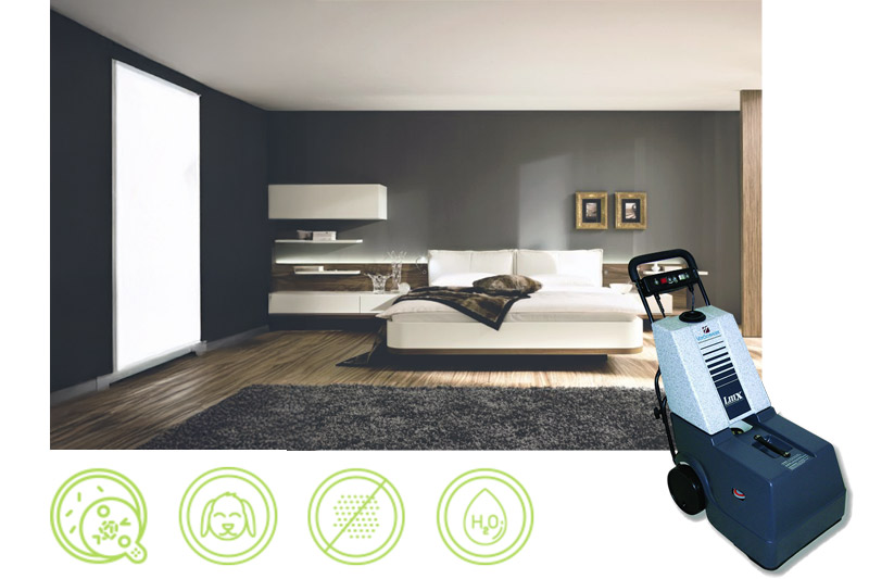 Proceso de limpieza de alfombras y tapetes ALPA